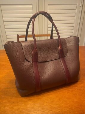 Cuyana Leather Trapeze Tote in Burgundy